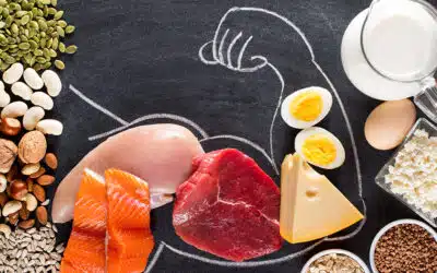 The Power of Protein: Understanding the Importance of Protein for Muscle Building